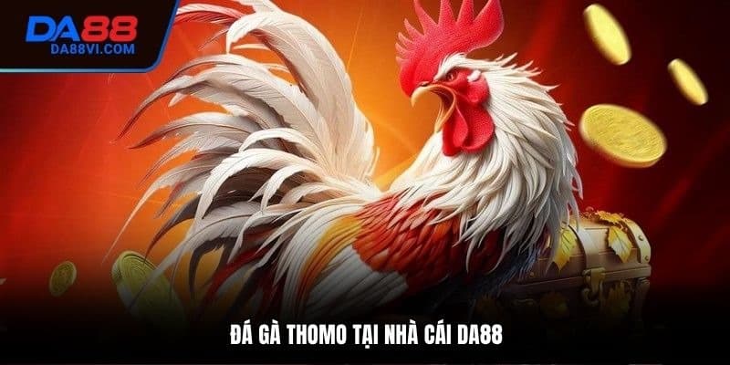 Đá Gà Thomo